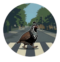 Quailroad Capital